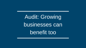 Audit: Growing businesses can benefit too Audit: Growing businesses can benefit too