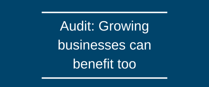 Audit: Growing businesses can benefit too