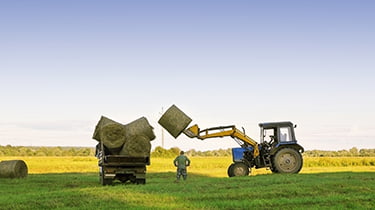 Agricultural diversification: Tax rules and eligibility for reliefs