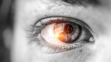 HMRC sets its sights on SMEs over UK tax gap