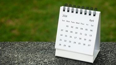 Tax basis – Getting ready for the end of the transitional year