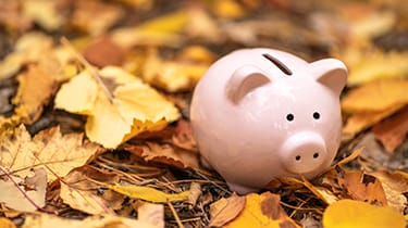 2024 Autumn Budget – Have you got your summary?